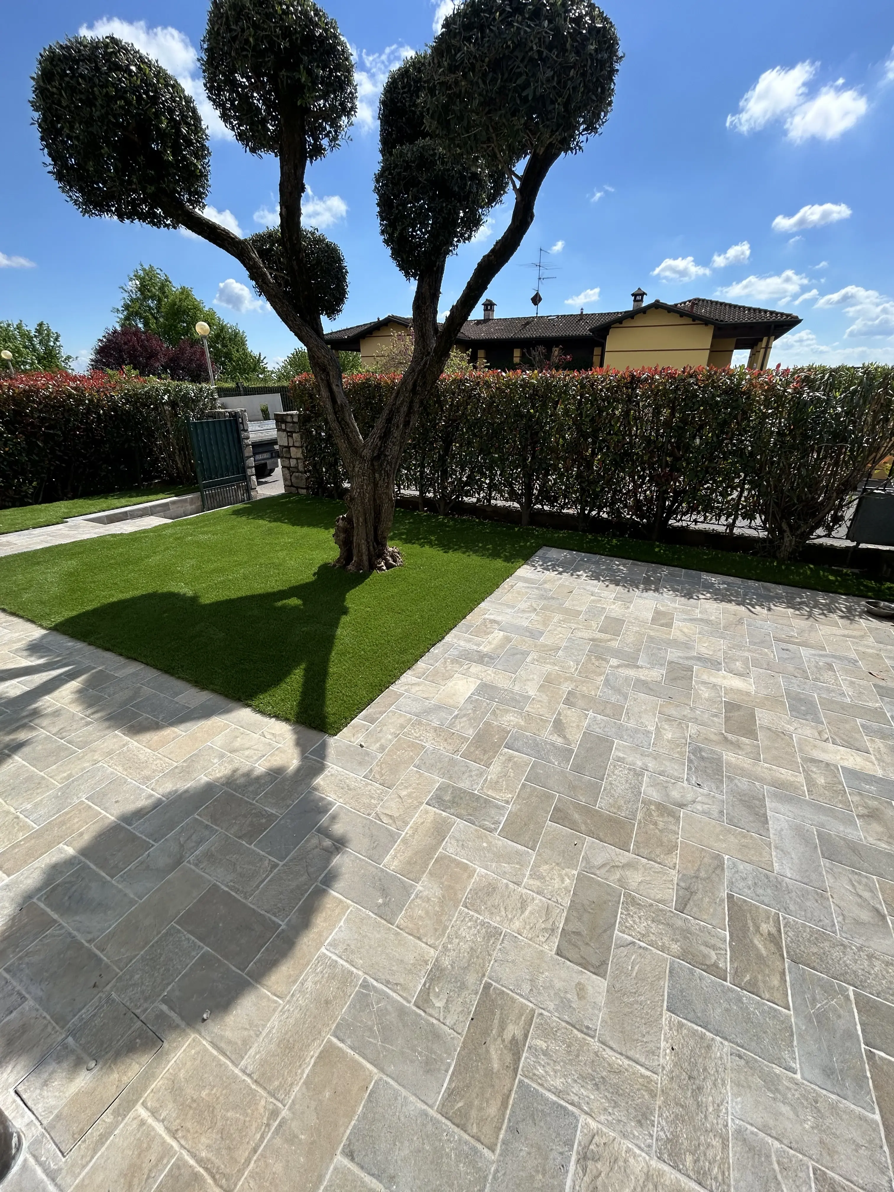 Realizzazione giardino moderno con prato sintetico e ulivo potato a nuvola a Brescia.